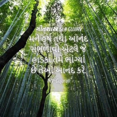 Picture 04 - ગીતશાસ્ત્ર 51:8 GUJIRV - મને હર્ષ તથા આનંદ - Bible Verse Picture
