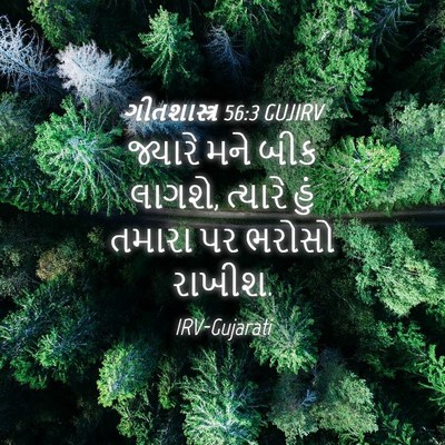 Picture 04 - ગીતશાસ્ત્ર 56:3 GUJIRV - જ્યારે મને બીક - Bible Verse Picture