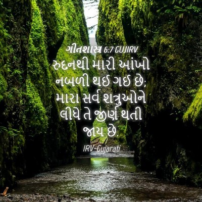 Picture 04 - ગીતશાસ્ત્ર 6:7 GUJIRV - રુદનથી મારી આંખો - Bible Verse Picture