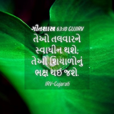 Picture 04 - ગીતશાસ્ત્ર 63:10 GUJIRV - તેઓ તલવારને - Bible Verse Picture
