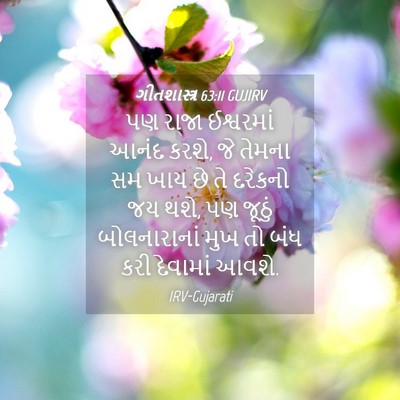 Picture 04 - ગીતશાસ્ત્ર 63:11 GUJIRV - પણ રાજા ઈશ્વરમાં - Bible Verse Picture