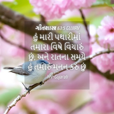 Picture 04 - ગીતશાસ્ત્ર 63:5 GUJIRV - હું મારી પથારીમાં - Bible Verse Picture