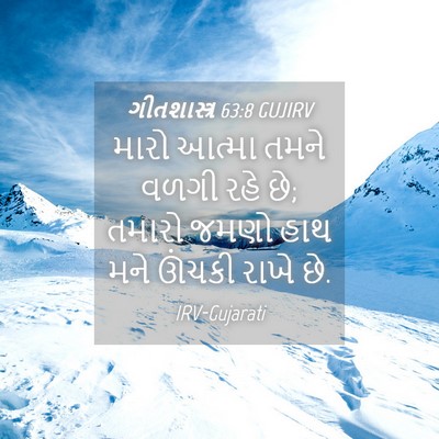 Picture 04 - ગીતશાસ્ત્ર 63:8 GUJIRV - મારો આત્મા તમને - Bible Verse Picture
