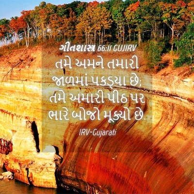 Picture 04 - ગીતશાસ્ત્ર 66:11 GUJIRV - તમે અમને તમારી - Bible Verse Picture
