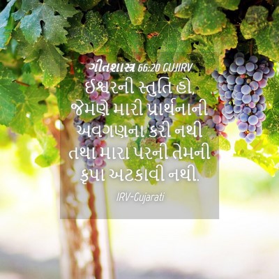 Picture 04 - ગીતશાસ્ત્ર 66:20 GUJIRV - ઈશ્વરની સ્તુતિ હો, - Bible Verse Picture