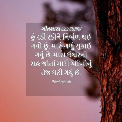 Picture 04 - ગીતશાસ્ત્ર 69:3 GUJIRV - હું રડી રડીને - Bible Verse Picture