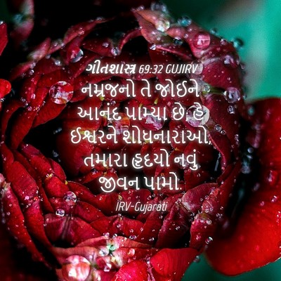 Picture 04 - ગીતશાસ્ત્ર 69:32 GUJIRV - નમ્રજનો તે જોઈને - Bible Verse Picture