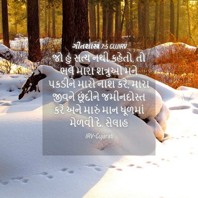 Picture 04 - ગીતશાસ્ત્ર 7:5 GUJIRV - જો હું સત્ય નથી - Bible Verse Picture