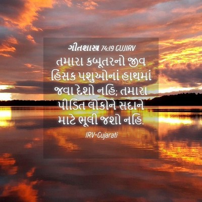 Picture 04 - ગીતશાસ્ત્ર 74:19 GUJIRV - તમારા કબૂતરનો જીવ - Bible Verse Picture