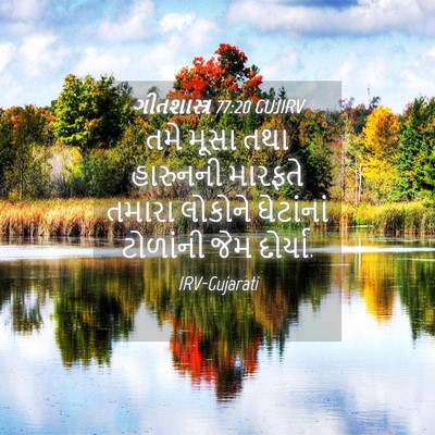 Picture 04 - ગીતશાસ્ત્ર 77:20 GUJIRV - તમે મૂસા તથા - Bible Verse Picture