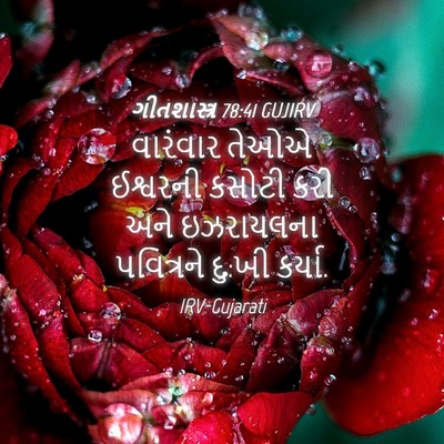 Picture 04 - ગીતશાસ્ત્ર 78:41 GUJIRV - વારંવાર તેઓએ - Bible Verse Picture