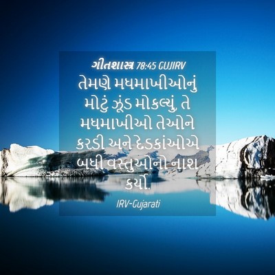 Picture 04 - ગીતશાસ્ત્ર 78:45 GUJIRV - તેમણે મધમાખીઓનું - Bible Verse Picture