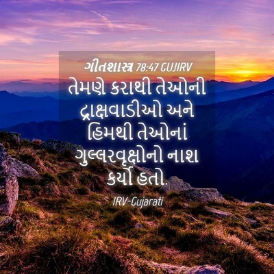 Picture 04 - ગીતશાસ્ત્ર 78:47 GUJIRV - તેમણે કરાથી તેઓની - Bible Verse Picture