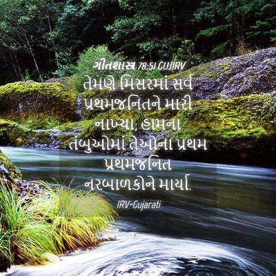 Picture 04 - ગીતશાસ્ત્ર 78:51 GUJIRV - તેમણે મિસરમાં - Bible Verse Picture