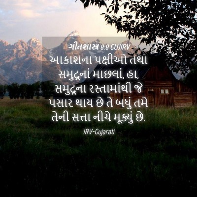 Picture 04 - ગીતશાસ્ત્ર 8:8 GUJIRV - આકાશના પક્ષીઓ તથા - Bible Verse Picture