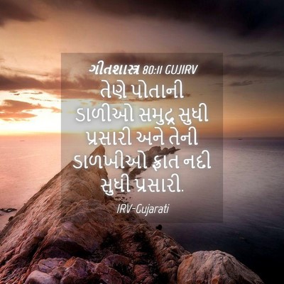 Picture 04 - ગીતશાસ્ત્ર 80:11 GUJIRV - તેણે પોતાની ડાળીઓ - Bible Verse Picture