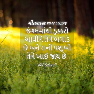 Picture 04 - ગીતશાસ્ત્ર 80:13 GUJIRV - જંગલમાંથી ડુક્કરો - Bible Verse Picture
