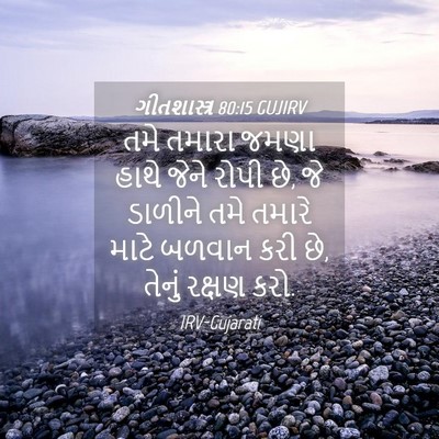 Picture 04 - ગીતશાસ્ત્ર 80:15 GUJIRV - તમે તમારા જમણા - Bible Verse Picture