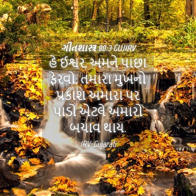 Picture 04 - ગીતશાસ્ત્ર 80:3 GUJIRV - હે ઈશ્વર, અમને પાછા - Bible Verse Picture