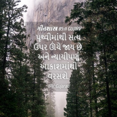Picture 04 - ગીતશાસ્ત્ર 85:11 GUJIRV - પૃથ્વીમાંથી સત્ય - Bible Verse Picture