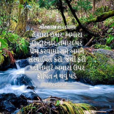 Picture 04 - ગીતશાસ્ત્ર 85:4 GUJIRV - હે મારા ઈશ્વર, - Bible Verse Picture