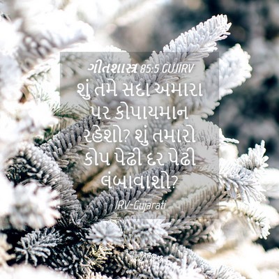 Picture 04 - ગીતશાસ્ત્ર 85:5 GUJIRV - શું તમે સદા અમારા - Bible Verse Picture