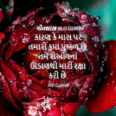 Picture 04 - ગીતશાસ્ત્ર 86:13 GUJIRV - કારણ કે મારા પર - Bible Verse Picture
