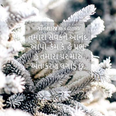 Picture 04 - ગીતશાસ્ત્ર 86:4 GUJIRV - તમારા સેવકને આનંદ - Bible Verse Picture