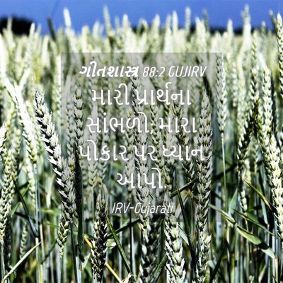 Picture 04 - ગીતશાસ્ત્ર 88:2 GUJIRV - મારી પ્રાર્થના - Bible Verse Picture