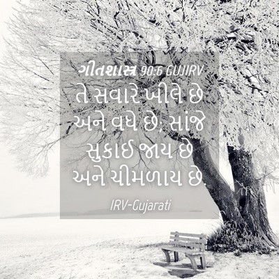 Picture 04 - ગીતશાસ્ત્ર 90:6 GUJIRV - તે સવારે ખીલે છે - Bible Verse Picture