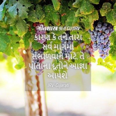 Picture 04 - ગીતશાસ્ત્ર 91:11 GUJIRV - કારણ કે તને તારા - Bible Verse Picture