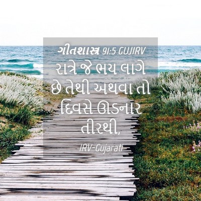 Picture 04 - ગીતશાસ્ત્ર 91:5 GUJIRV - રાત્રે જે ભય લાગે - Bible Verse Picture