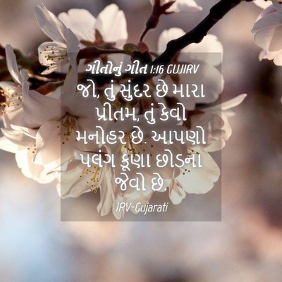Picture 04 - ગીતોનું ગીત 1:16 GUJIRV - જો, તું સુંદર છે - Bible Verse Picture