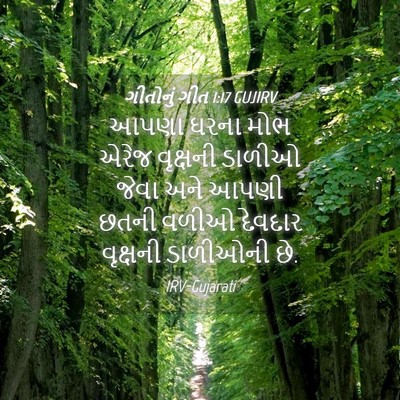 Picture 04 - ગીતોનું ગીત 1:17 GUJIRV - આપણા ઘરના મોભ એરેજ - Bible Verse Picture