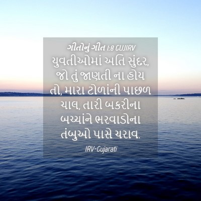 Picture 04 - ગીતોનું ગીત 1:8 GUJIRV - યુવતીઓમાં અતિ - Bible Verse Picture