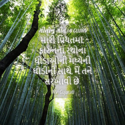 Picture 04 - ગીતોનું ગીત 1:9 GUJIRV - મારી પ્રિયતમા, - Bible Verse Picture