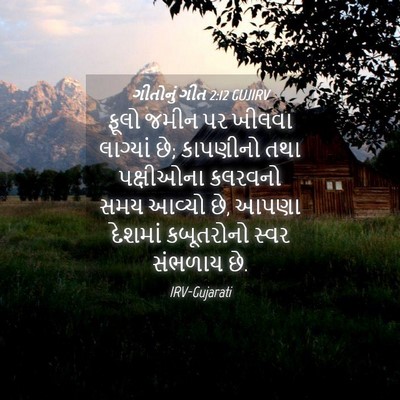 Picture 04 - ગીતોનું ગીત 2:12 GUJIRV - ફૂલો જમીન પર ખીલવા - Bible Verse Picture