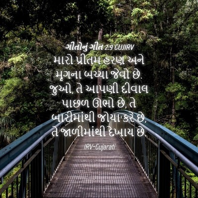 Picture 04 - ગીતોનું ગીત 2:9 GUJIRV - મારો પ્રીતમ હરણ - Bible Verse Picture
