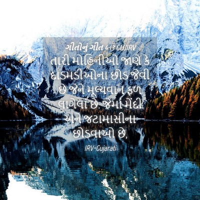 Picture 04 - ગીતોનું ગીત 4:13 GUJIRV - તારી મોહિનીઓ જાણે - Bible Verse Picture