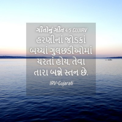 Picture 04 - ગીતોનું ગીત 4:5 GUJIRV - હરણીનાં જોડકાં - Bible Verse Picture