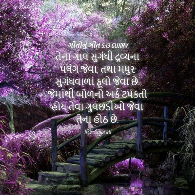 Picture 04 - ગીતોનું ગીત 5:13 GUJIRV - તેના ગાલ સુગંધી - Bible Verse Picture