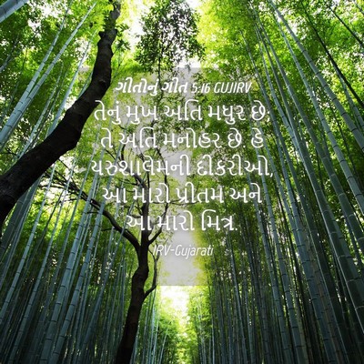 Picture 04 - ગીતોનું ગીત 5:16 GUJIRV - તેનું મુખ અતિ મધુર - Bible Verse Picture