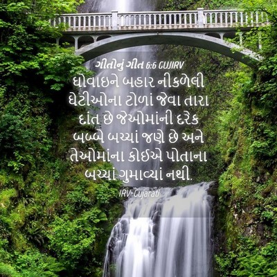 Picture 04 - ગીતોનું ગીત 6:6 GUJIRV - ઘોવાઇને બહાર - Bible Verse Picture