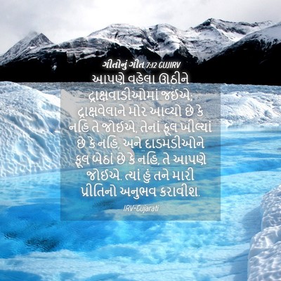 Picture 04 - ગીતોનું ગીત 7:12 GUJIRV - આપણે વહેલા ઊઠીને - Bible Verse Picture