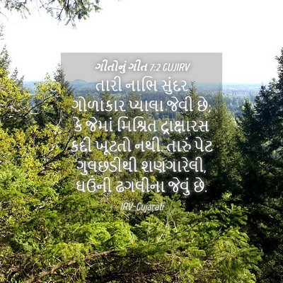 Picture 04 - ગીતોનું ગીત 7:2 GUJIRV - તારી નાભિ સુંદર - Bible Verse Picture