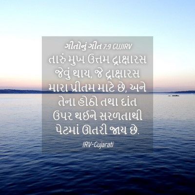 Picture 04 - ગીતોનું ગીત 7:9 GUJIRV - તારું મુખ ઉત્તમ - Bible Verse Picture