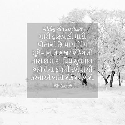 Picture 04 - ગીતોનું ગીત 8:12 GUJIRV - મારી દ્રાક્ષવાડી - Bible Verse Picture