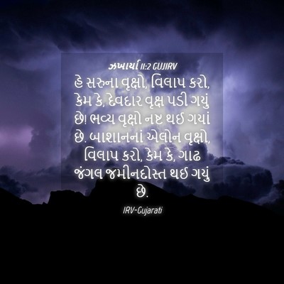 Picture 04 - ઝખાર્યા 11:2 GUJIRV - હે સરુના વૃક્ષો, - Bible Verse Picture