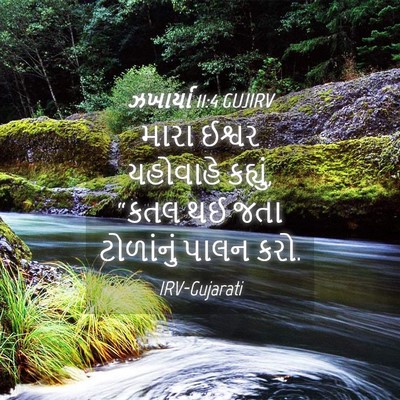 Picture 04 - ઝખાર્યા 11:4 GUJIRV - મારા ઈશ્વર - Bible Verse Picture
