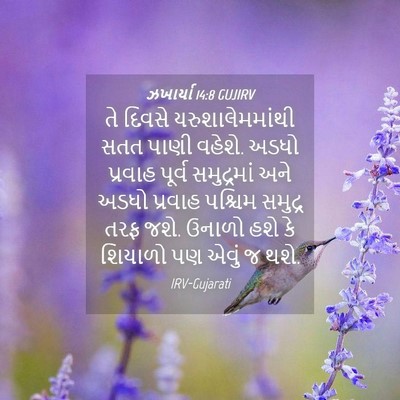 Picture 04 - ઝખાર્યા 14:8 GUJIRV - તે દિવસે - Bible Verse Picture